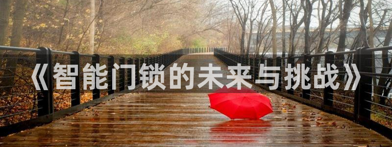 金年会网页登录：《智能门锁的未来与挑战》