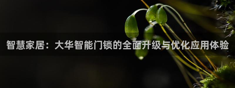 金年会信誉：智慧家居：大华智能门锁的全面升级与优化应用体验