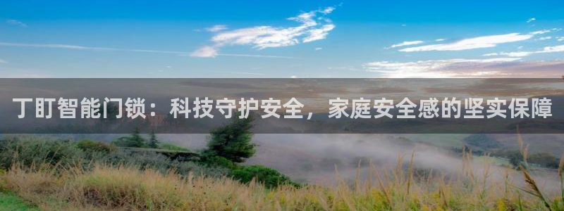 金年会金字招牌信誉：丁盯智能门锁：科技守护安全，家庭安全感的