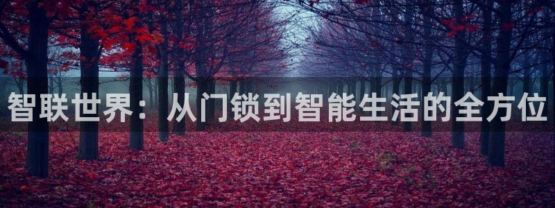 金年会体育app：智联世界：从门锁到智能生活的全方位