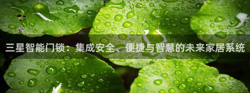 金 金年会：三星智能门锁：集成安全、便捷与智慧的未来家居系统