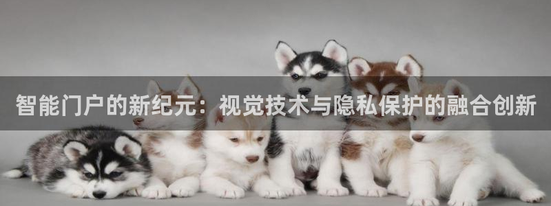 金年会体育金年会官网：智能门户的新纪元：视觉技术与隐私保护的