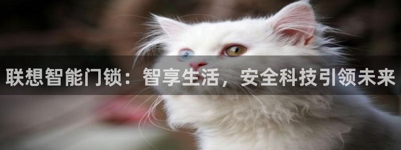 金年会能提款吗：联想智能门锁：智享生活，安全科技引领未来