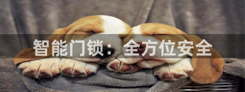 金年会官方网站登录：智能门锁：全方位安全