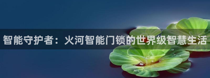金年会app：智能守护者：火河智能门锁的世界级智慧生活