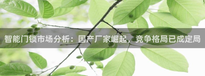 金年会综合APP：智能门锁市场分析：国产厂家崛起，竞争格局已