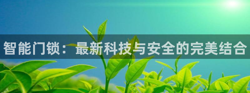金年会金年会：智能门锁：最新科技与安全的完美结合