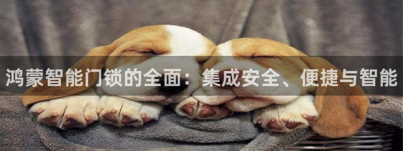 金年会登录入口：鸿蒙智能门锁的全面：集成安全、便捷与智能