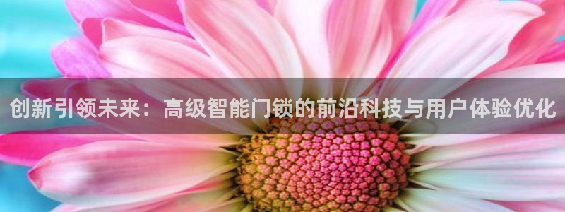 金年会网页登录：创新引领未来：高级智能门锁的前沿科技与用户体