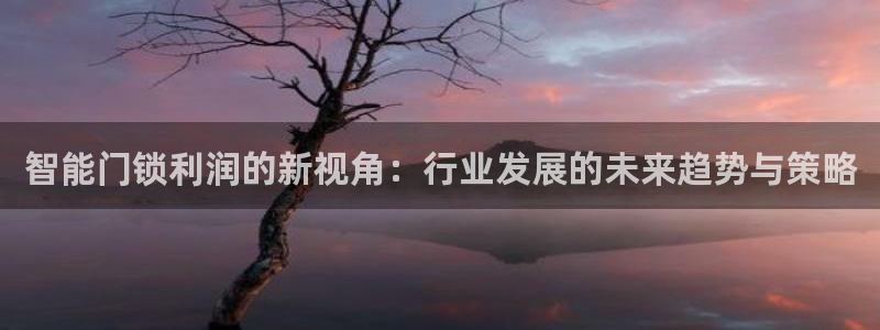 金年会安装：智能门锁利润的新视角：行业发展的未来趋势与策略