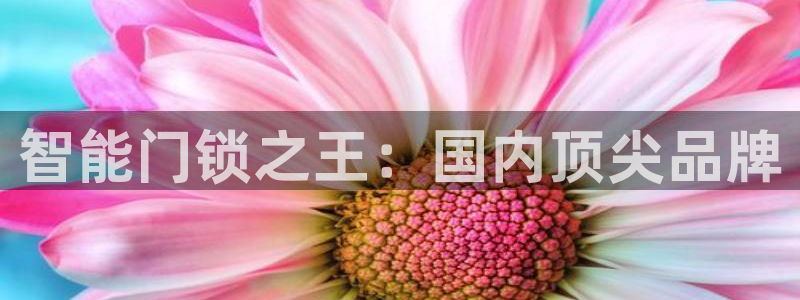 金年会电子游戏：智能门锁之王：国内顶尖品牌