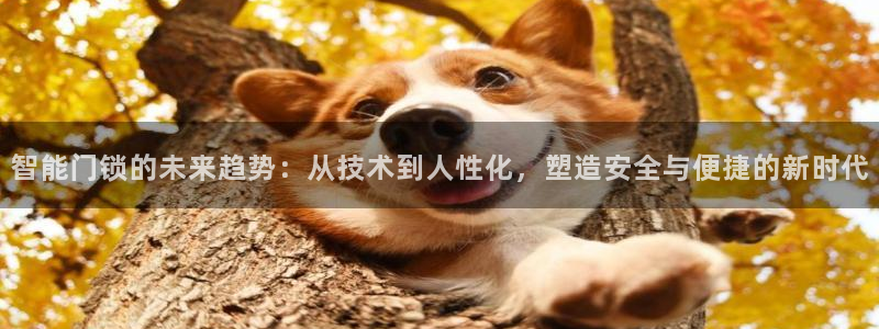 金年会综合APP：智能门锁的未来趋势：从技术到人性化，塑造安