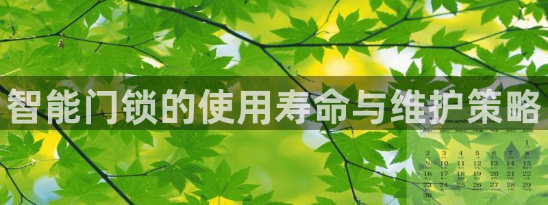 金年会彩票下载app：智能门锁的使用寿命与维护策略