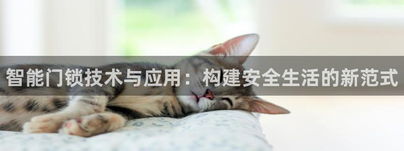 金年会6766：智能门锁技术与应用：构建安全生活的新范式