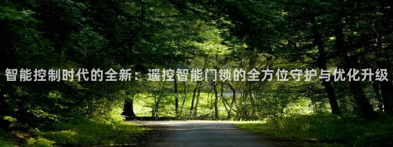 金年会娱乐提现：智能控制时代的全新：遥控智能门锁的全方位守护
