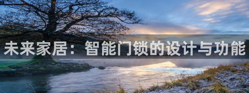 今金年会：未来家居：智能门锁的设计与功能