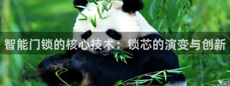 金年会赞助商：智能门锁的核心技术：锁芯的演变与创新