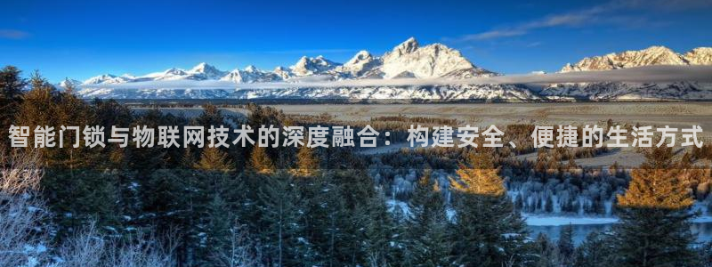 金哥年会：智能门锁与物联网技术的深度融合：构建安全、便捷的生
