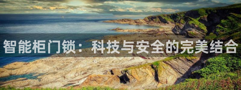 体育金年会：智能柜门锁：科技与安全的完美结合
