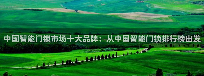 金年会和万博：中国智能门锁市场十大品牌：从中国智能门锁排行榜