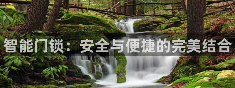 金年会官方：智能门锁：安全与便捷的完美结合