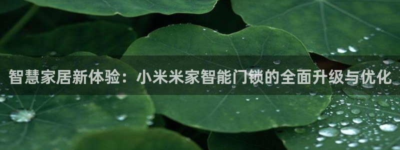 金年会这个平台：智慧家居新体验：小米米家智能门锁的全面升级与