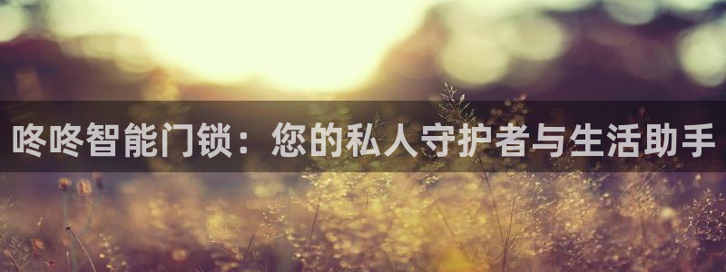 金年会娱乐下载：咚咚智能门锁：您的私人守护者与生活助手