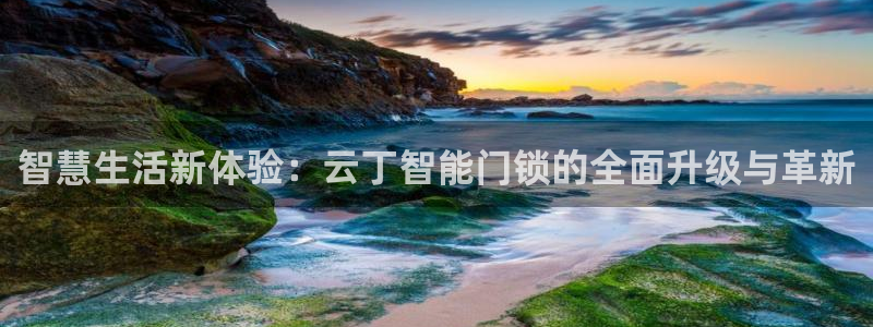 金立年会：智慧生活新体验：云丁智能门锁的全面升级与革新