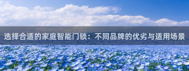 金年会APP下载：选择合适的家庭智能门锁：不同品牌的优劣与适