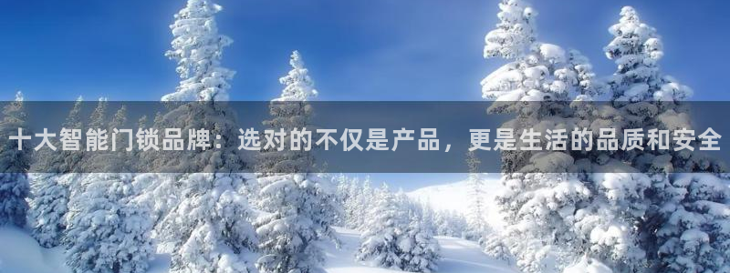金年会开户：十大智能门锁品牌：选对的不仅是产品，更是生活的品