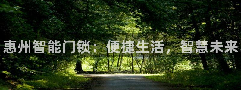 金年会金年华：惠州智能门锁：便捷生活，智慧未来