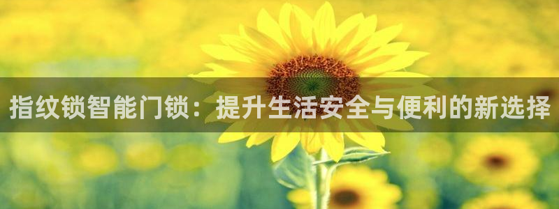 金年会体育下载app：指纹锁智能门锁：提升生活安全与便利的新