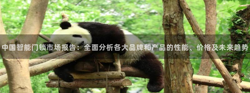 金年会体育app下载：中国智能门锁市场报告：全面分析各大品牌