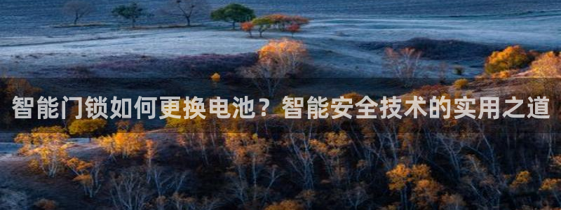 金年会澳门6766：智能门锁如何更换电池？智能安全技术的实用