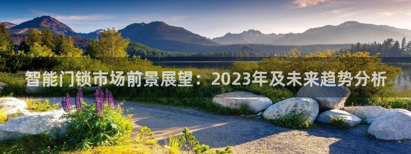 金年会体育官方：智能门锁市场前景展望：2023年及未来趋势分