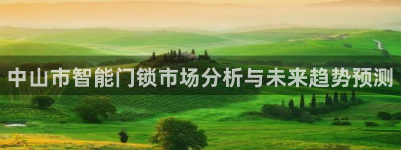 金年会和万博：中山市智能门锁市场分析与未来趋势预测