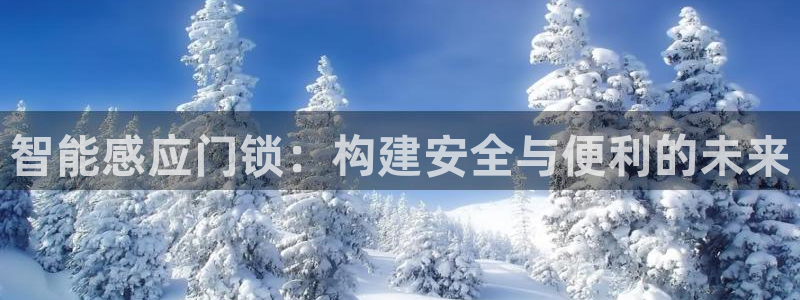 金顶年会：智能感应门锁：构建安全与便利的未来