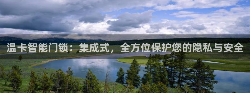 金年会平台是真的吗：温卡智能门锁：集成式，全方位保护您的隐私