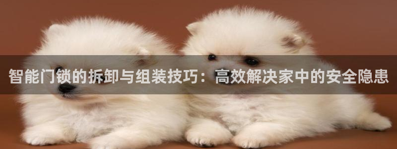 金年会体育官网