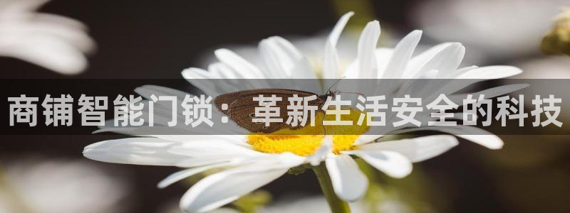 金年会彩票网址下载：商铺智能门锁：革新生活安全的科技