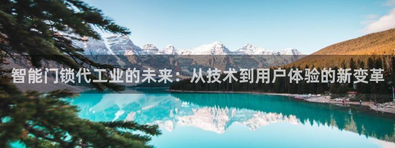 金年会101
