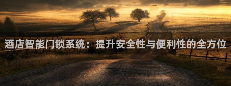 金年会在线入口：酒店智能门锁系统：提升安全性与便利性的全方位