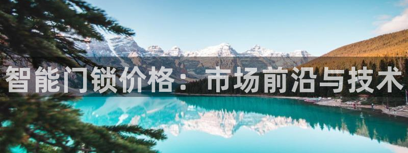 金年会官方在线登录：智能门锁价格：市场前沿与技术
