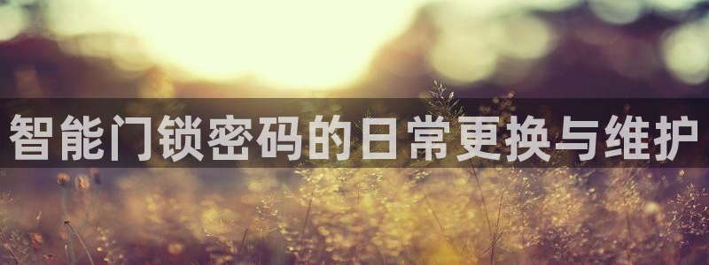 金年会app桌面：智能门锁密码的日常更换与维护