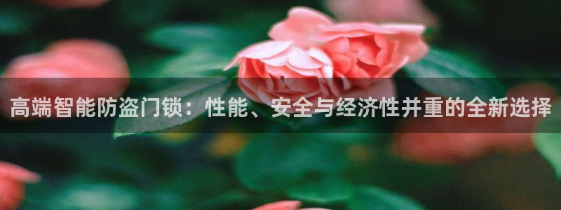 金年会体育苹果下载：高端智能防盗门锁：性能、安全与经济性并重