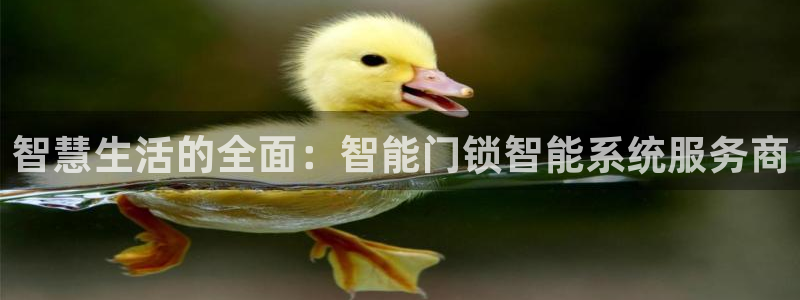 金年会金字招牌至上：智慧生活的全面：智能门锁智能系统服务商