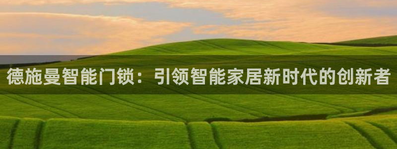 金年会在线：德施曼智能门锁：引领智能家居新时代的创新者