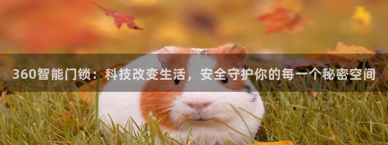 金年会下载：360智能门锁：科技改变生活，安全守护你的每一个