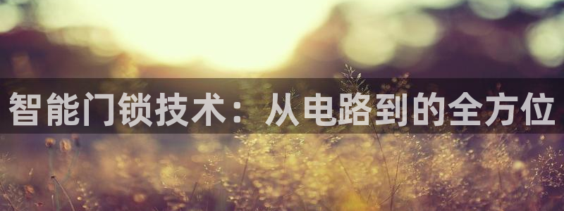 金年会平台是什么：智能门锁技术：从电路到的全方位