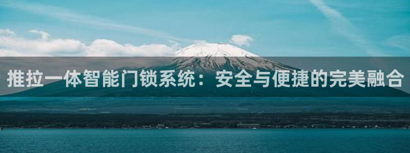 为什么搜索不了金年会：推拉一体智能门锁系统：安全与便捷的完美